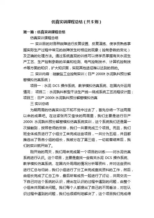 仿真实训课程总结（共5则）