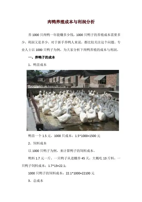 肉鸭养殖成本与利润分析