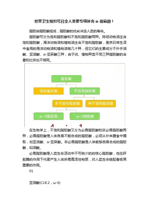 世界卫生组织号召全人类要专项补充α-亚麻酸！