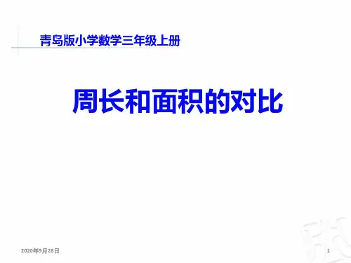 周长和面积的对比PPT课件