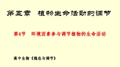 环境因素参与调节植物的生命活动 课件 高中生物 人教版 选择性必修1