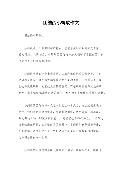 团结的小蚂蚁作文
