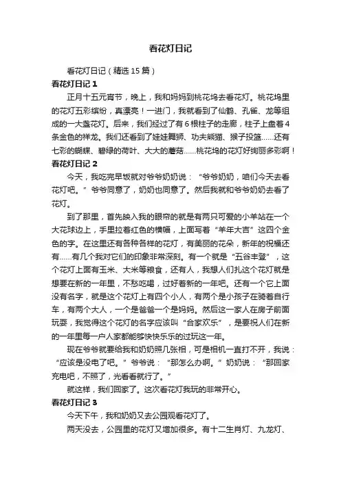 看花灯日记（精选15篇）