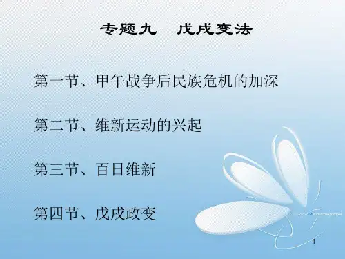 甲午战争后中国民族危机加深—PPT课件.ppt