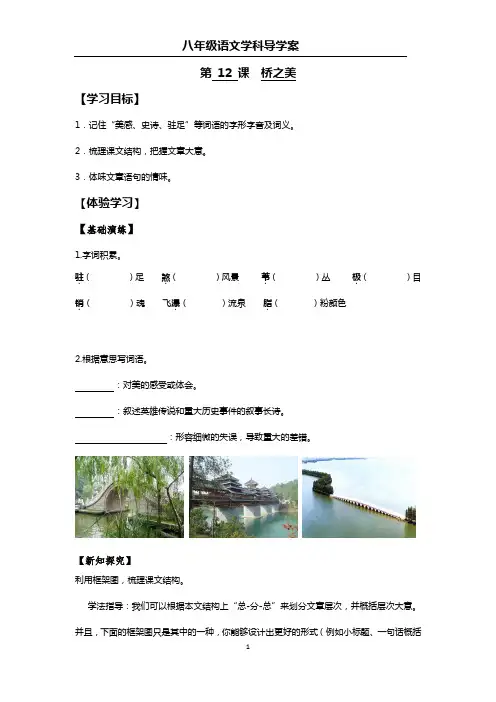 初二语文导学案-12桥之美导学案及答案