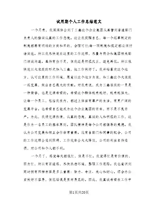 试用期个人工作总结范文(9篇)