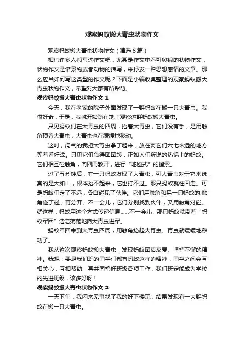 观察蚂蚁搬大青虫状物作文