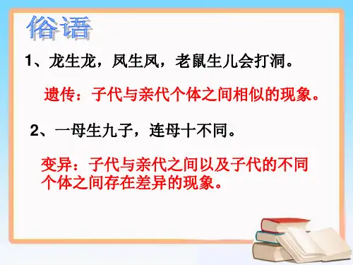 苏教版高中生物必修2第三章第一节基因的分离定律共22张PPT