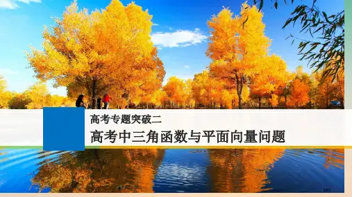 高考数学复习高考专题突破二高考中的三角函数与平面向量问题市赛课公开课一等奖省名师优质课获奖PPT课件