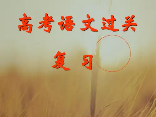 最新-2018届高考语文第一轮知识点专题复习高考语文过关复习课件 精品 