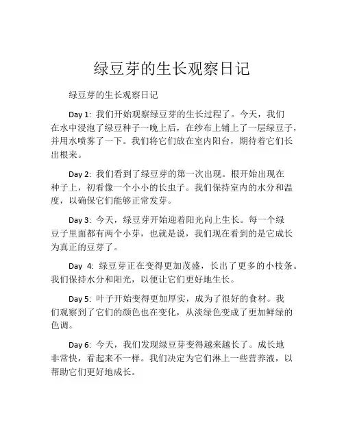 绿豆芽的生长观察日记
