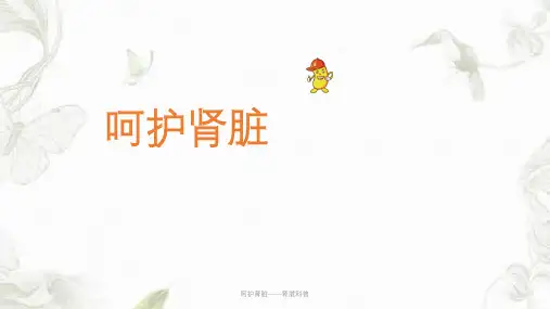 呵护肾脏——肾脏科普ppt课件