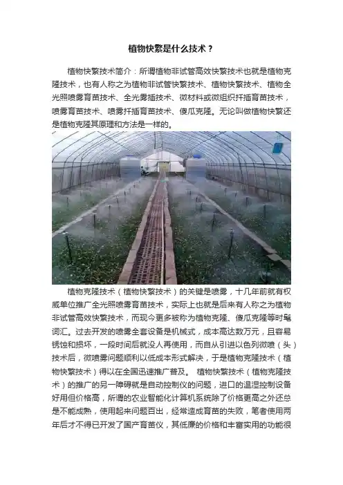 植物快繁是什么技术？