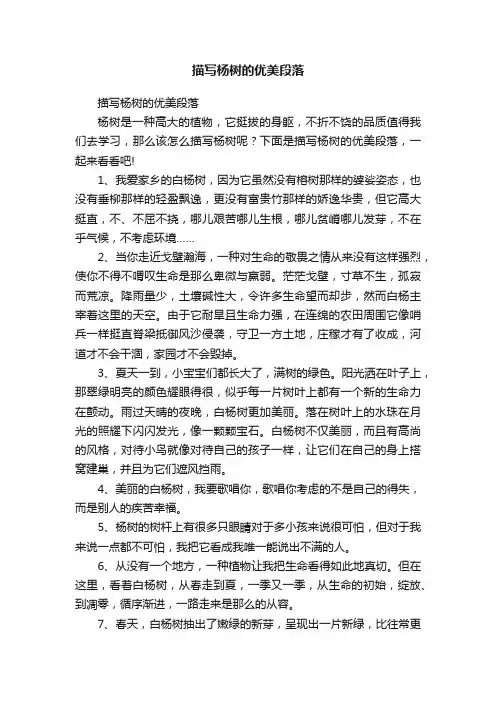 描写杨树的优美段落