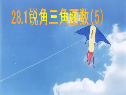 锐角三角函数(5)