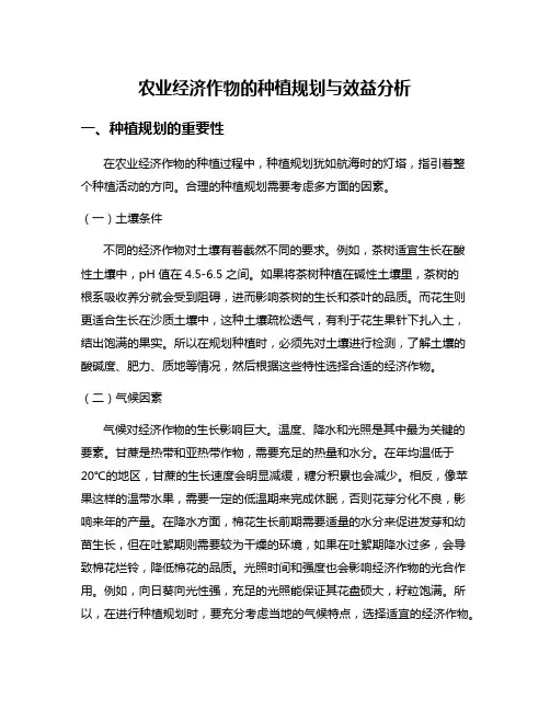 农业经济作物的种植规划与效益分析