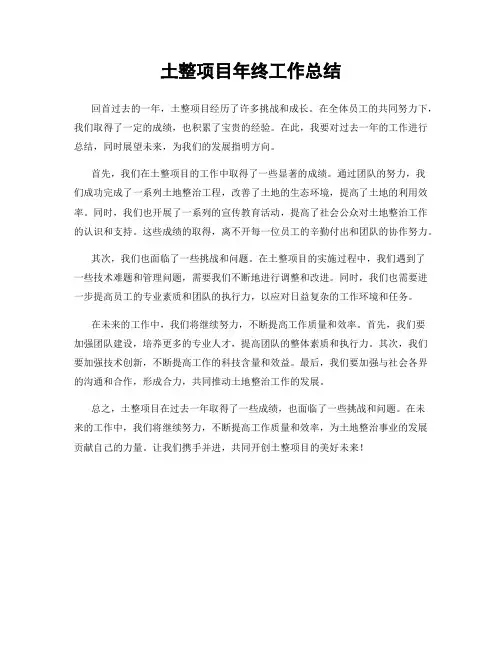 土整项目年终工作总结