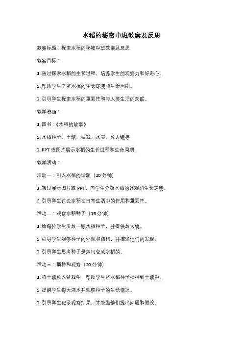 水稻的秘密中班教案及反思