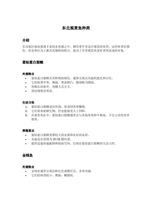 东北观赏鱼种类