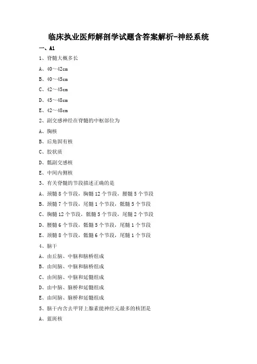 临床执业医师解剖学试题含答案解析-神经系统