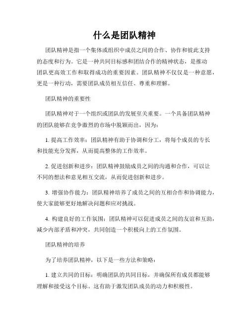 什么是团队精神