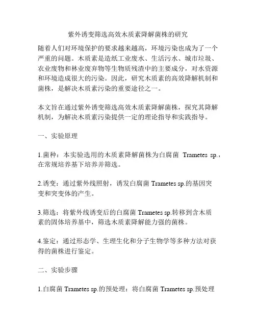 紫外诱变筛选高效木质素降解菌株的研究
