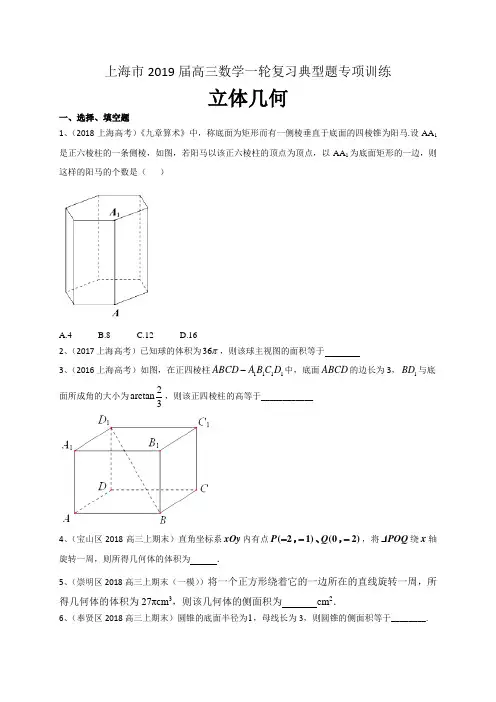 上海2019届高三数学一轮复习典型题专项训练立体几何