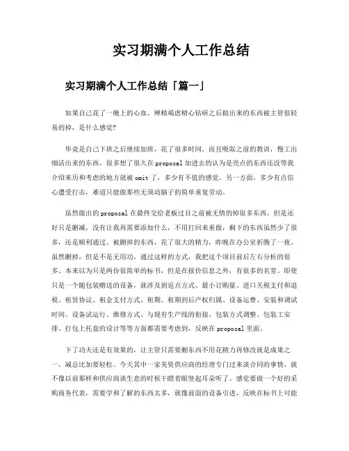 实习期满个人工作总结