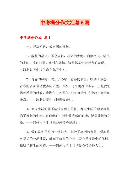 中考满分作文汇总6篇