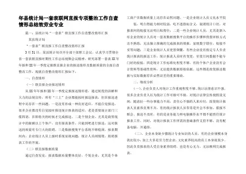 年县统计局一套表联网直报专项整治工作自查情形总结效劳业专业