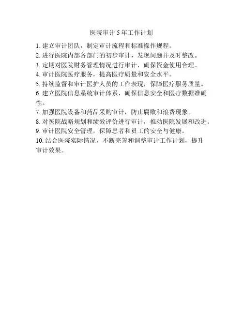 医院审计5年工作计划