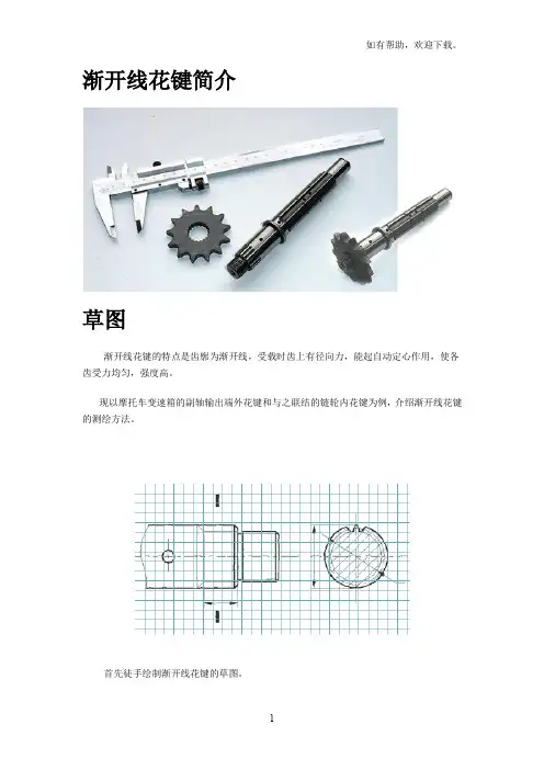 渐开线花键测绘