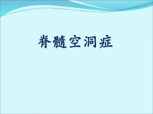 脊髓空洞症PPT课件