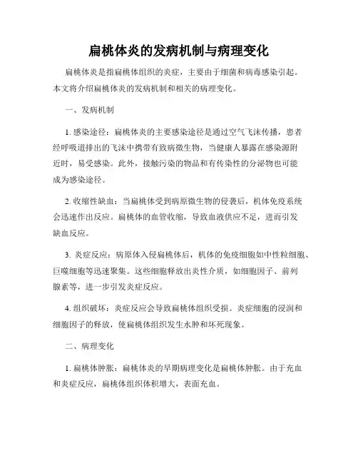 扁桃体炎的发病机制与病理变化