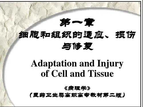 《病理生理学》课件 细胞和组织的适应、损伤与修复  ppt
