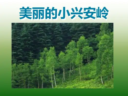 《美丽的小兴安岭》课件(共25张PPT)