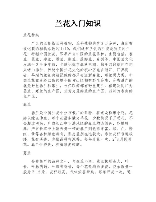 兰花入门知识