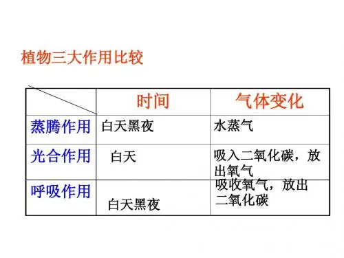 绿色植物的三大作用专题复习[1]