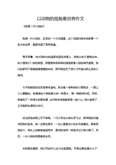 以动物的视角看世界作文