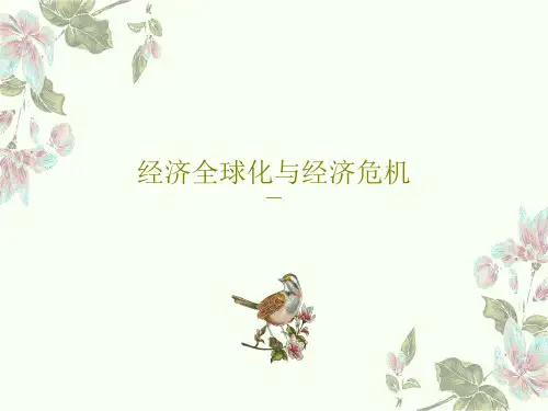 经济全球化与经济危机35页PPT