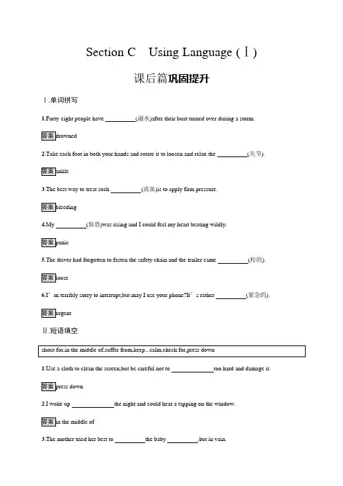 高中英语选择性必修二 Unit 5 Section C Using Language (Ⅰ)课后练习