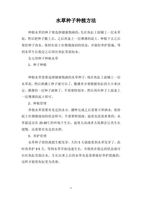 水草种子种植方法