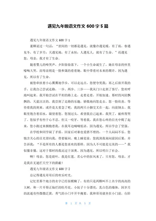 遇见九年级语文作文600字5篇