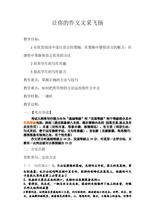 让你的作文文采飞扬教案