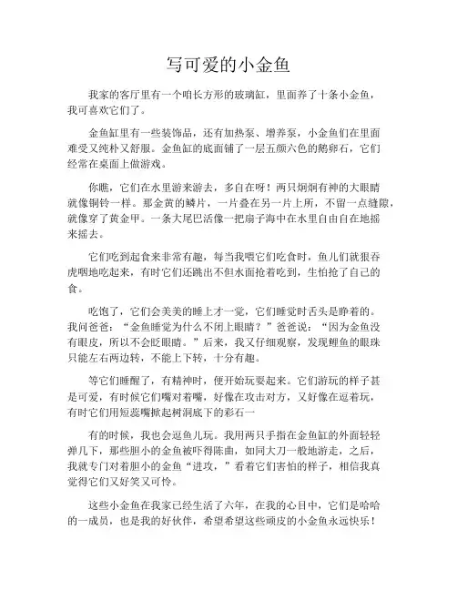 写可爱的小金鱼7篇