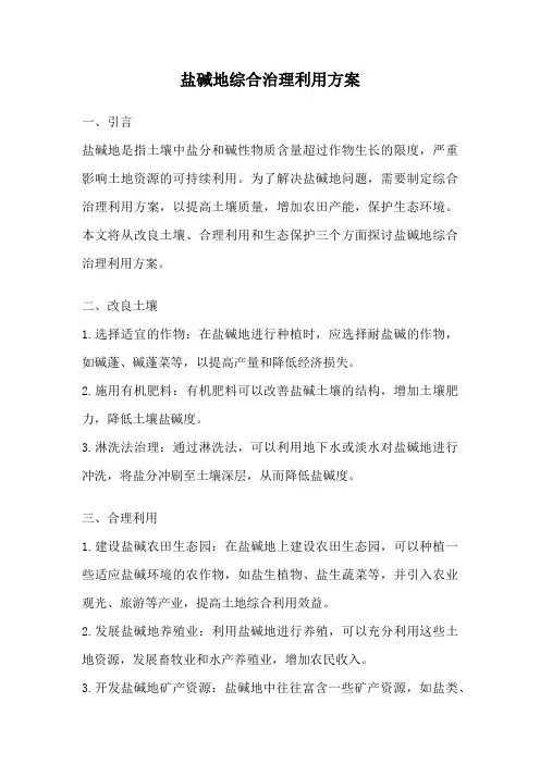 盐碱地综合治理利用方案