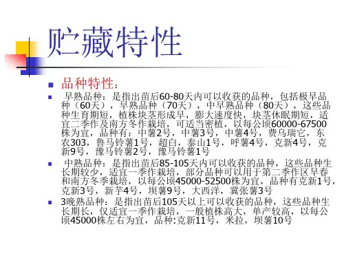 贮藏技术马铃薯
