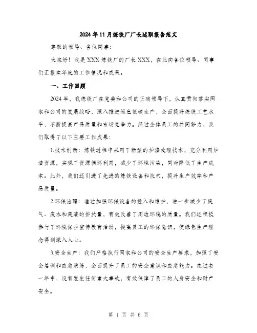 2024年11月炼铁厂厂长述职报告范文(二篇)