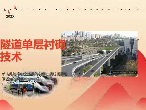 隧道单层衬砌技术