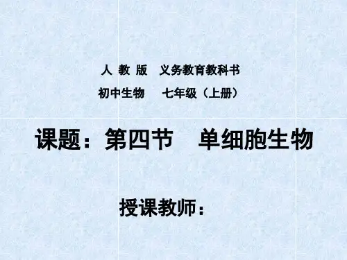 人教版七年级上册生物.4单细胞生物